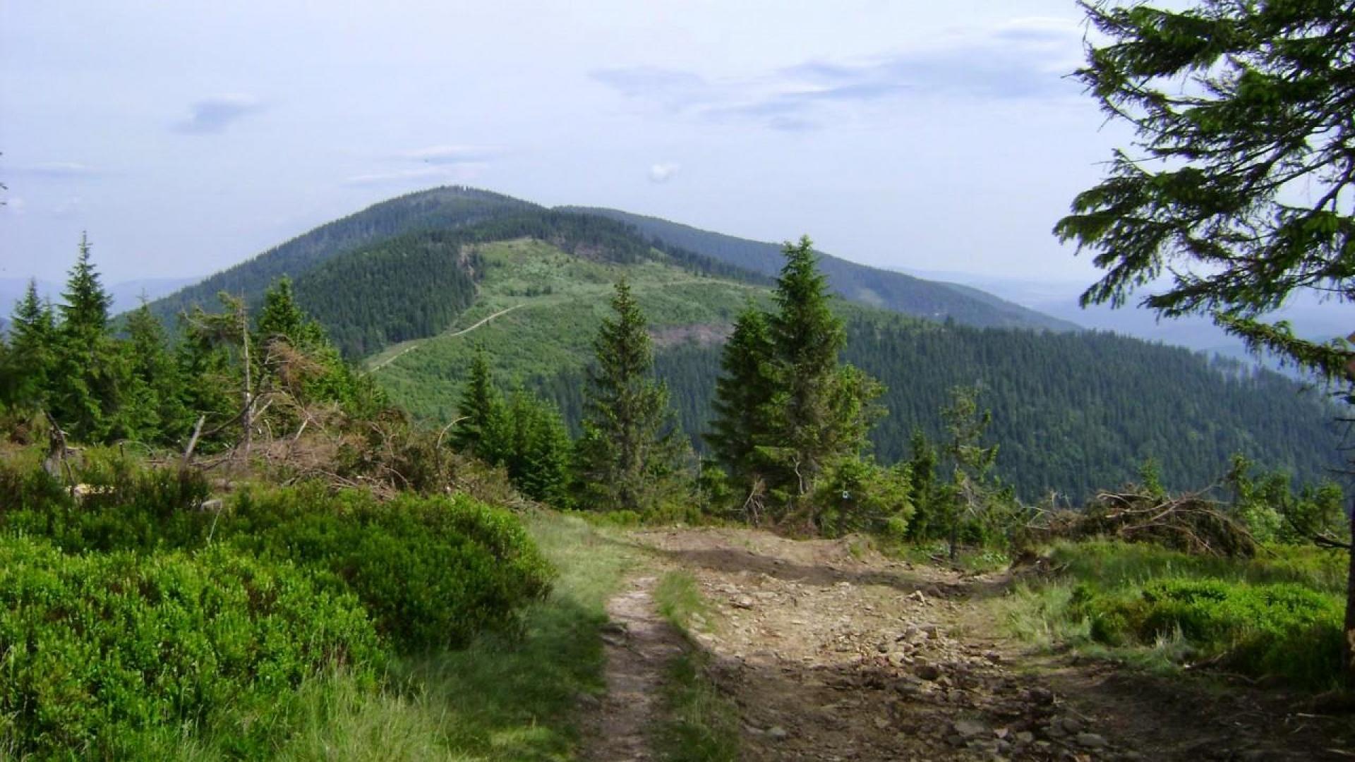 🌲 Romanka – cicha strażniczka Beskidu Żywieckiego